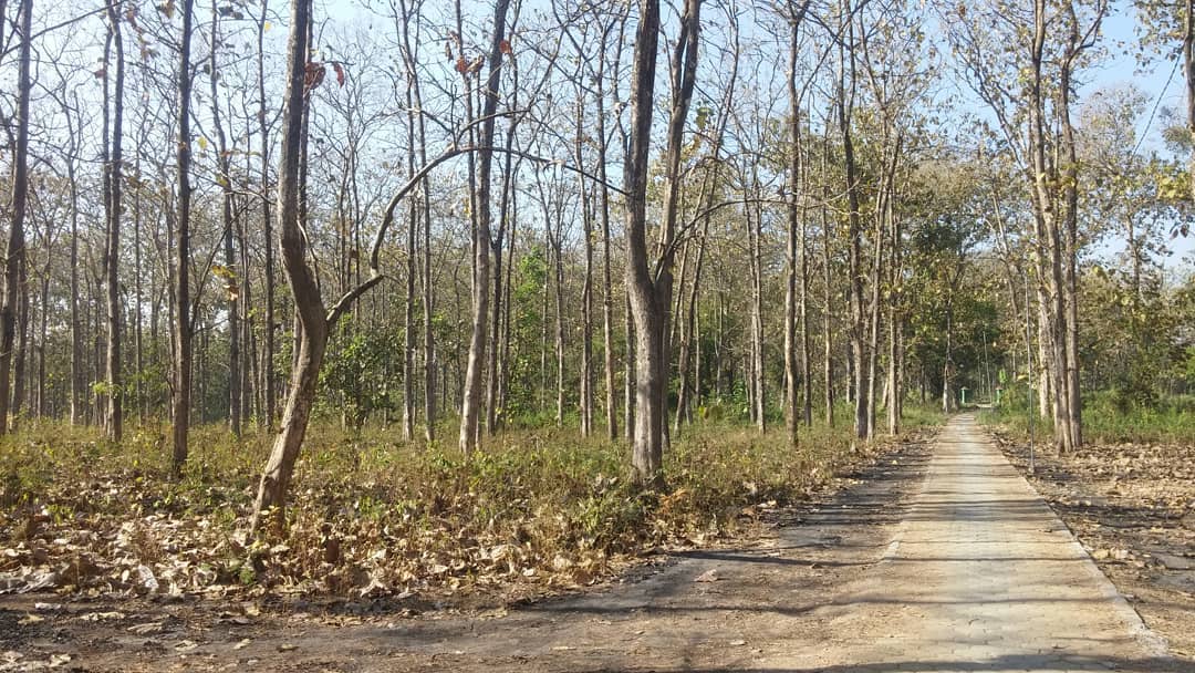 Autumn In Java