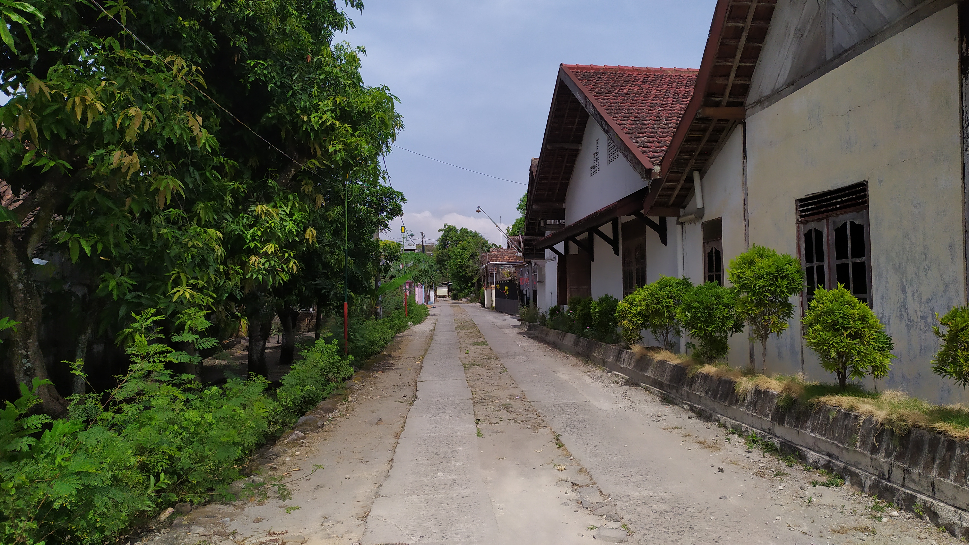 The Beauty of Mangirejo Village Ambiance