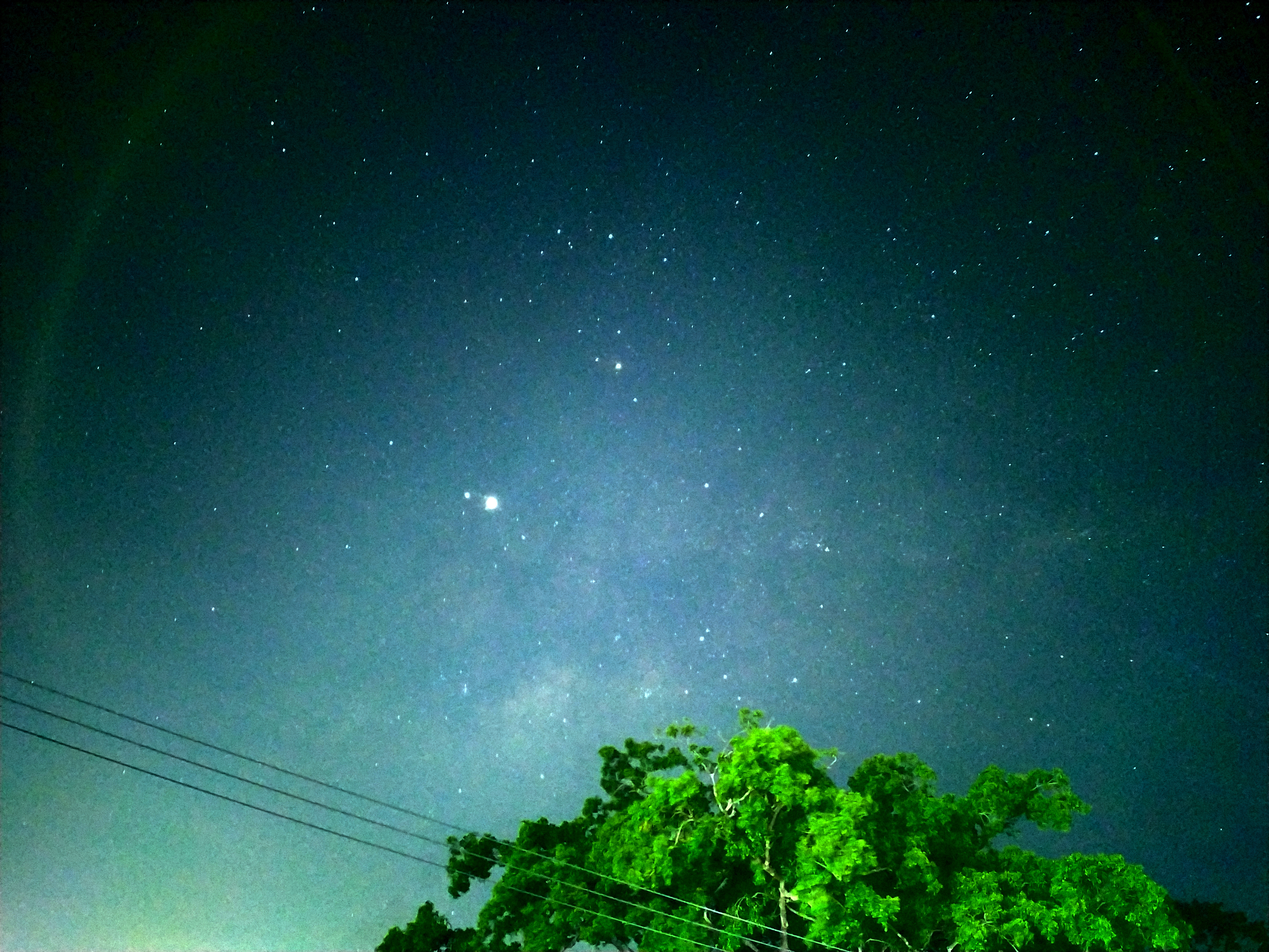 The Milky Way Hides And Peeks Behind A Tree